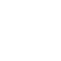 Pathin Logo
